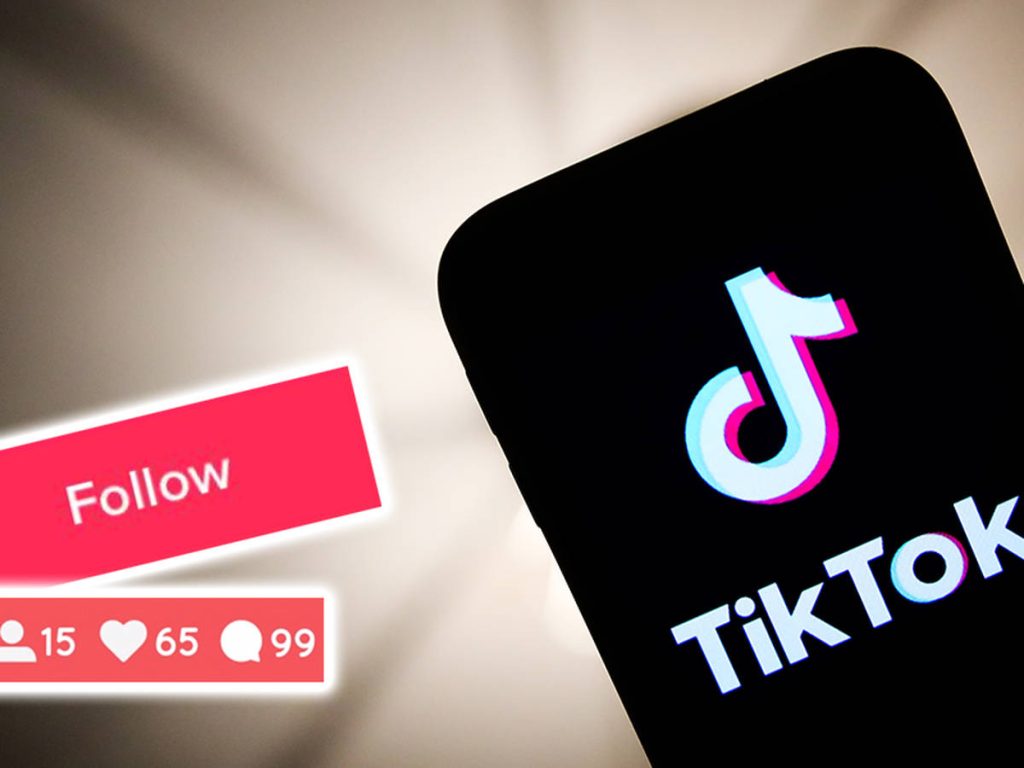 TikTok Video Saver